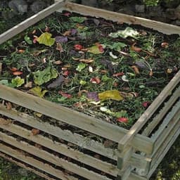 Compost Pile