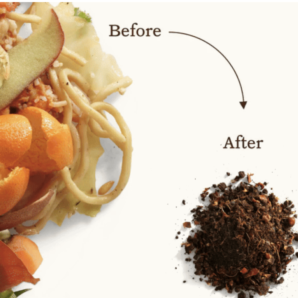 GEME Terra 2 Output is Real Compost