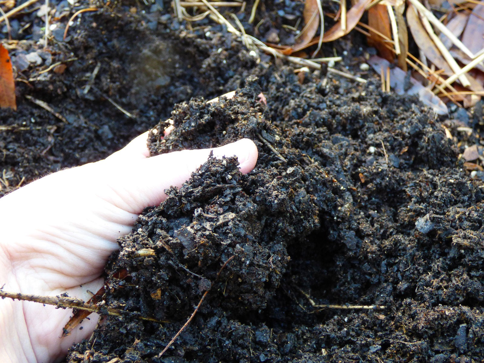 finished compost