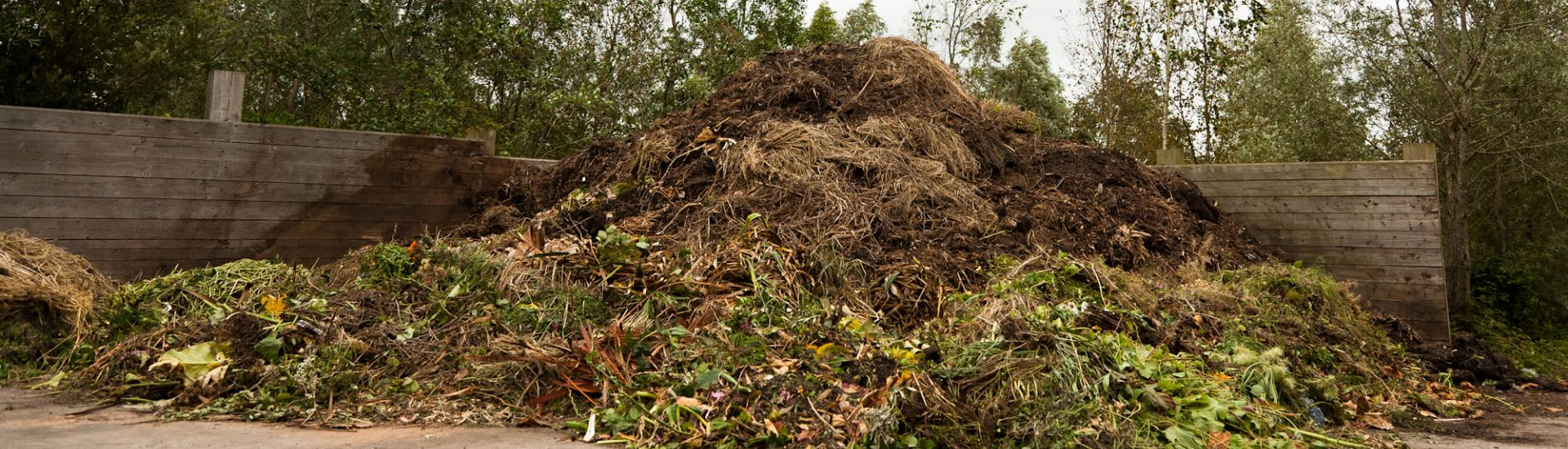 composting food waste