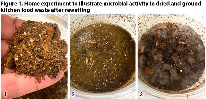 dried and ground kitchen food waste after rewetting