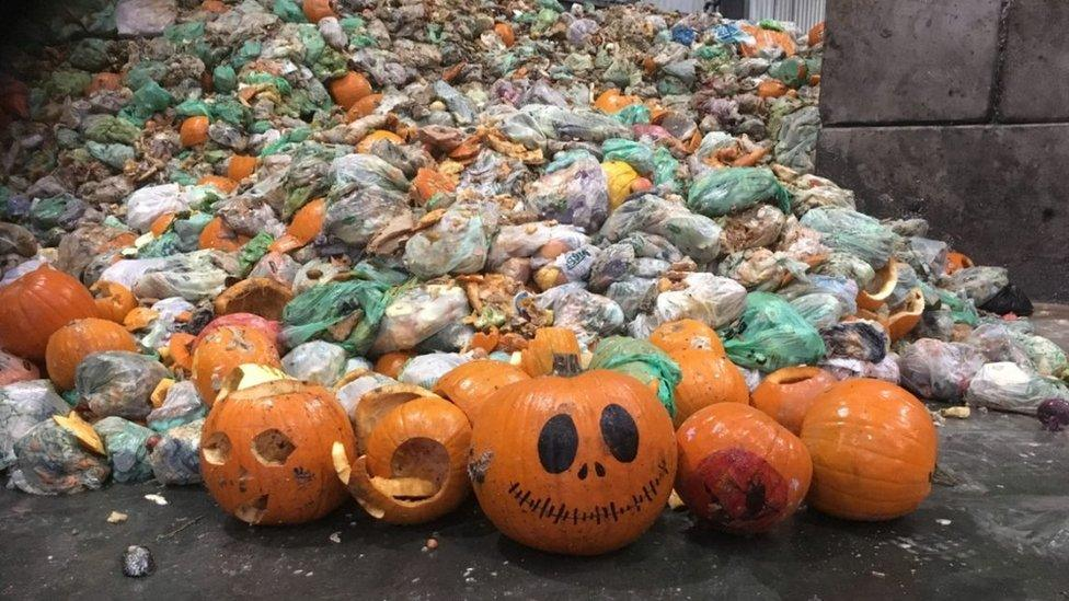 The Halloween Pumpkin Waste