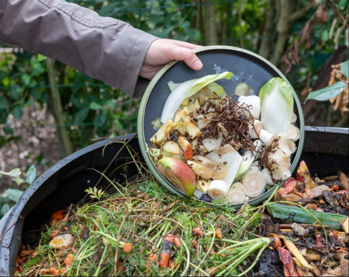 Compost outdoor in winter