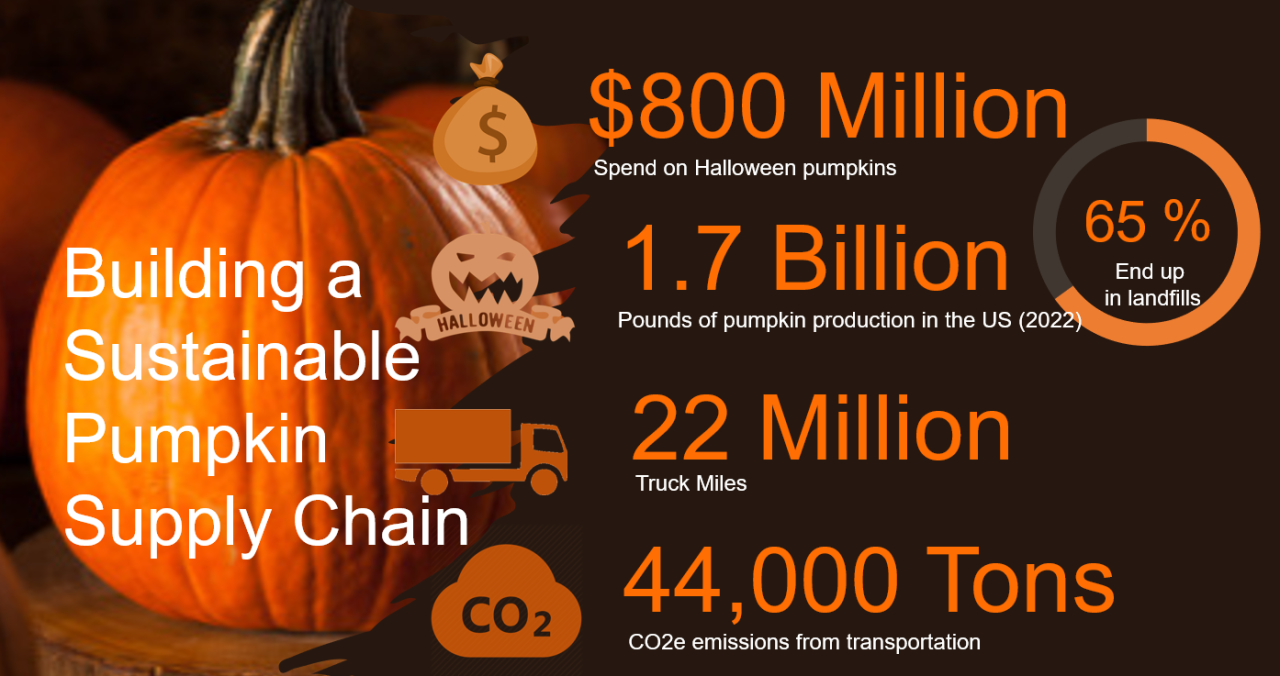 Supply Chain of Pumpkin Waste