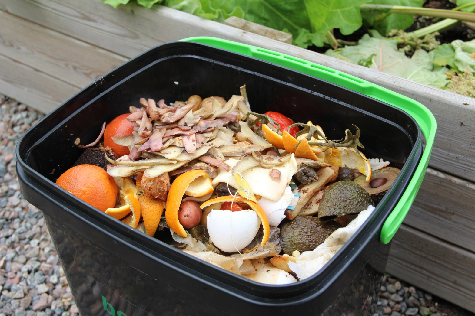 Bokashi bin with food waste inside